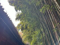 -潭柘寺景区