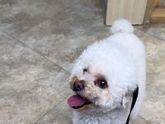 -美联众合动物医院·24h转诊中心
