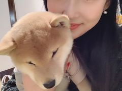-逗柴咖啡屋·狗咖猫咖宠物桌游