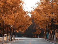 -八大关景区