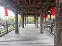 -大唐贡茶院