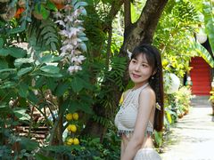-西双版纳傣族园