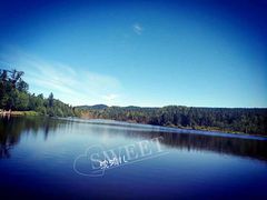 -五营红松林海景区