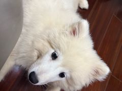 -二中酸辣汤(无锡梁溪区店)