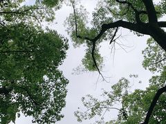 -徐家汇源景区-衡山公园