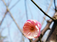 -白塘生态植物园