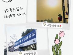 -南通鲜花小镇