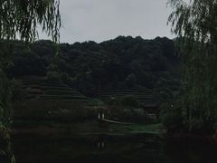 -天地生态农庄