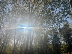 -森林公园(尖草坪区)