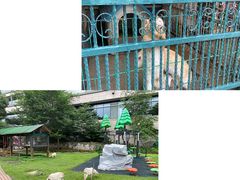 -上海佘山世茂艾美酒店