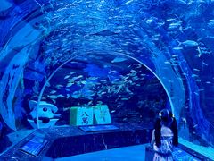 -海合安成都极地海洋公园