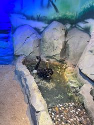 -酷嗒动物文化乐园(cutezoo西溪乐天城店)