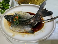 -壹号渔村(齐富路店)