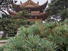 -上海东林寺(金山区)