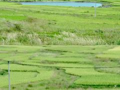 -龙里油画大草原旅游区