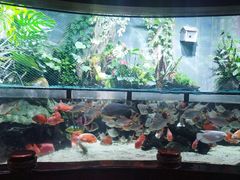 -太平洋海底世界