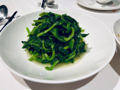 酒香豆苗-南麓·浙里(外滩店)