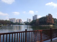 -荔湾湖公园