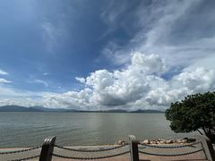 -深圳湾公园-停车场