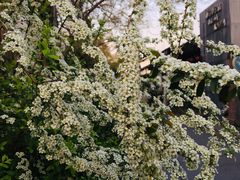 -春暖花开(西溪店)