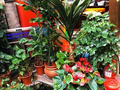 -束河人家(南锣鼓巷店)