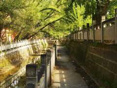 -土楼观-北禅寺