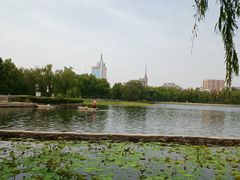景点-莲花池公园