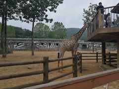 -大连森林动物园