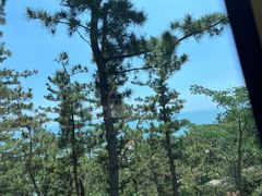 -青岛崂山太清宫