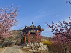 -北京西山国家森林公园