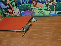 -杭州野生动物世界