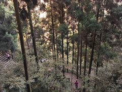 -刘伯温故里景区百丈漈