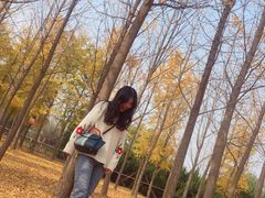 -汉景帝阳陵博物院