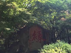 -杭州黄龙洞