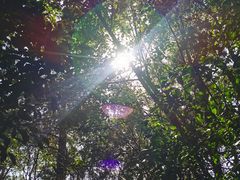 -杭州半山国家森林公园