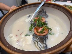 -全乐鱼馆·淳牌有机鱼直营店