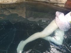 -七彩云南古滇温泉山庄