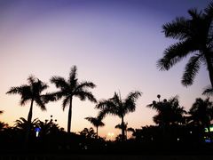 三亚的感觉-白鹭洲公园