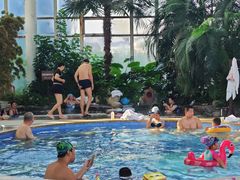 -中家鑫园温泉酒店鑫悦汤泉