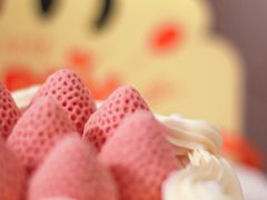 -壹点壹客·生日蛋糕(南山店)