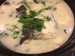 千岛湖有机鱼头-老淳安—伴山伴湖(千岛湖开元度假村店)