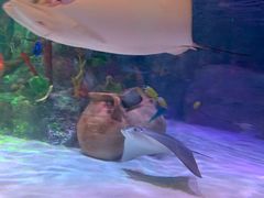 -沈阳海洋探索中心