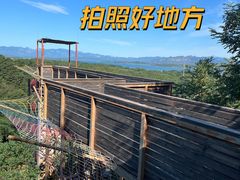 -欢乐松鼠谷