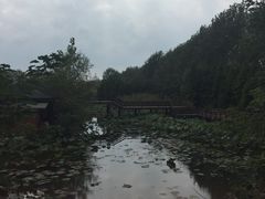 -溱湖国家湿地公园