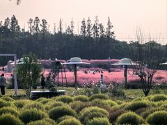 -嘉北郊野公园
