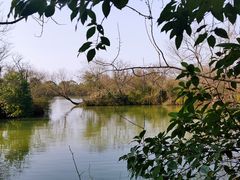 -西溪国家湿地公园