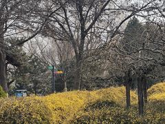 -石家庄市动物园