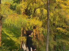 -云溪植物园