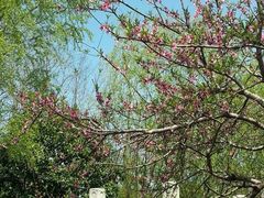 android_upload_pic-新江湾城公园