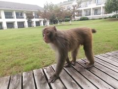 -苏州环秀晓筑养生度假村